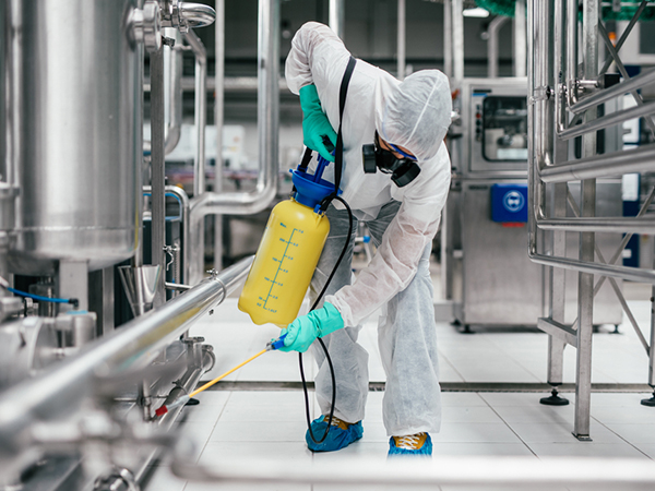 Pest Control Services