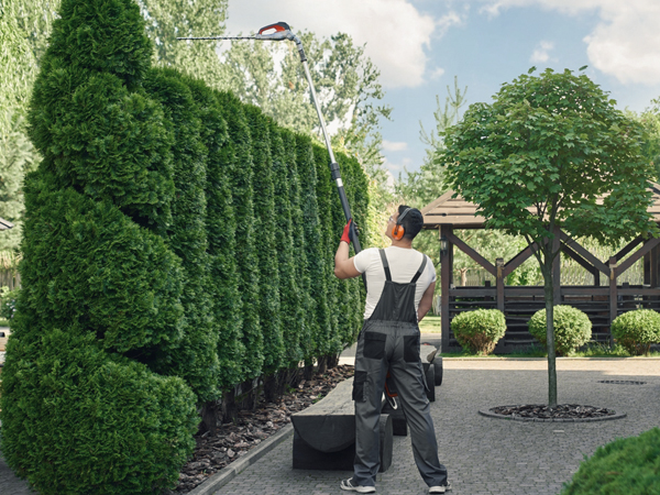 Landscaping & Outdoor Maintenance